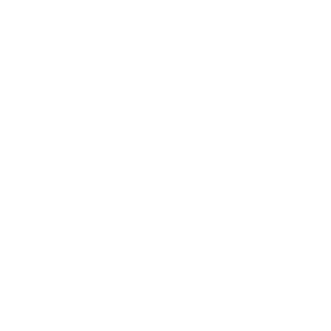 GlobeSt Logo