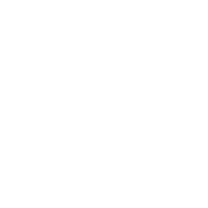 NJ patch Logo