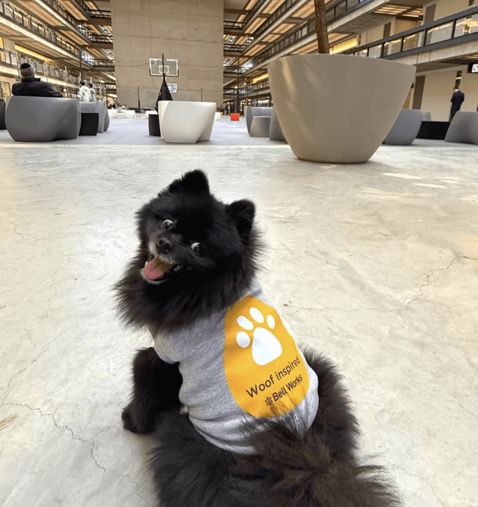 bell works new jersey summer events