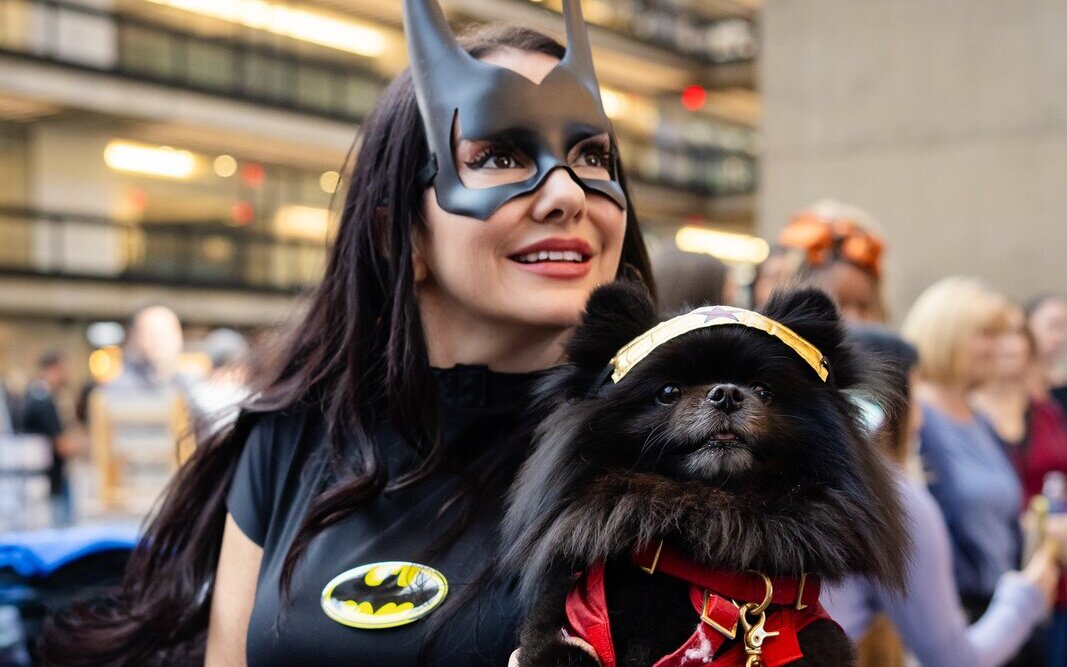 Bell Works Fresh Dog Costume PAWrade