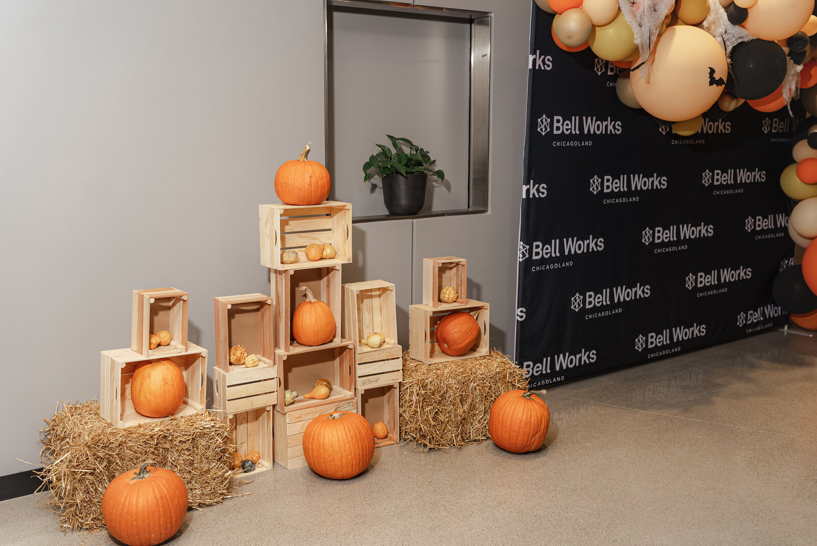 Trick-or-Treat Around The Block