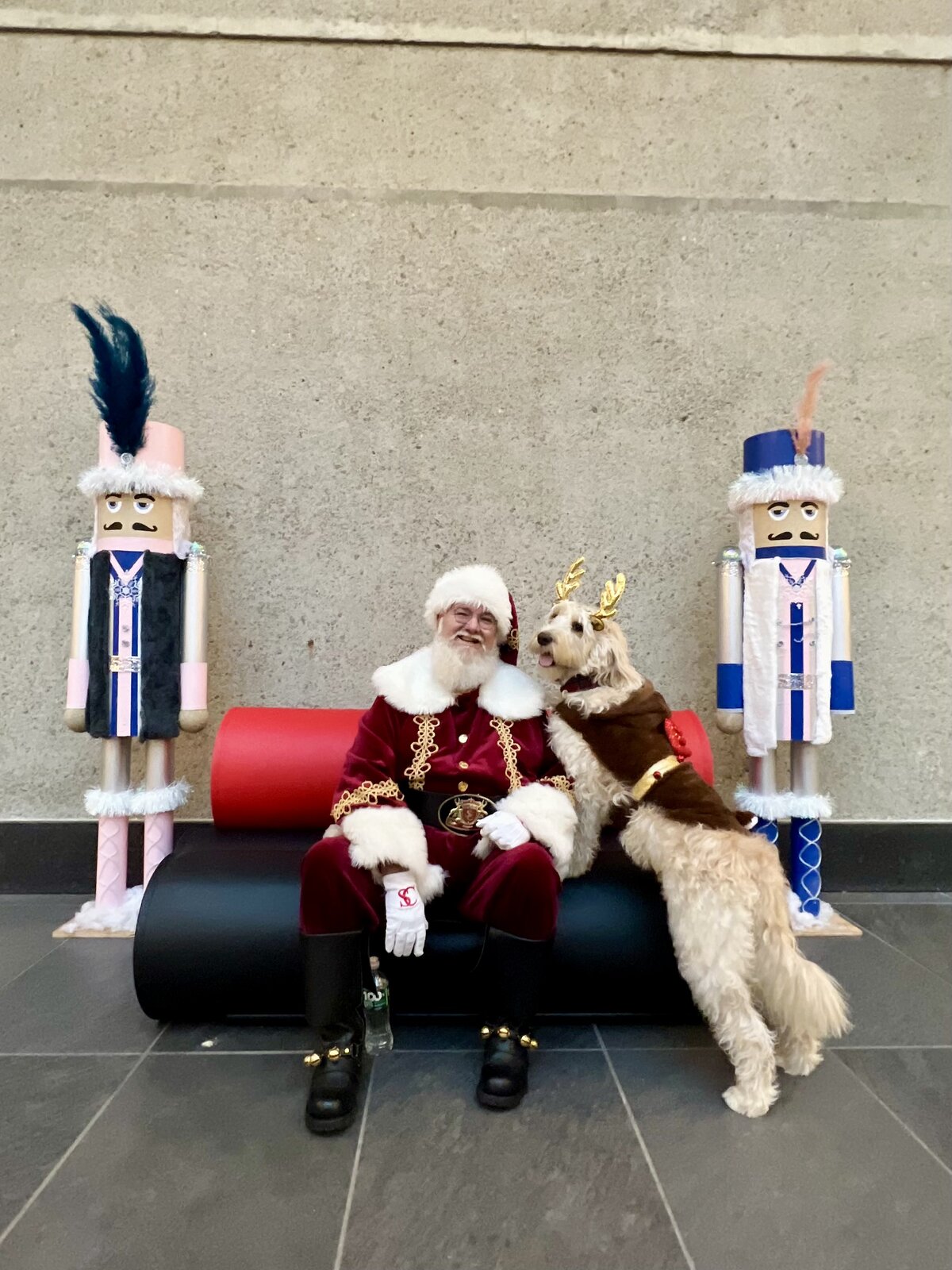 Bell Works Fresh Dog Photos with Santa Paws